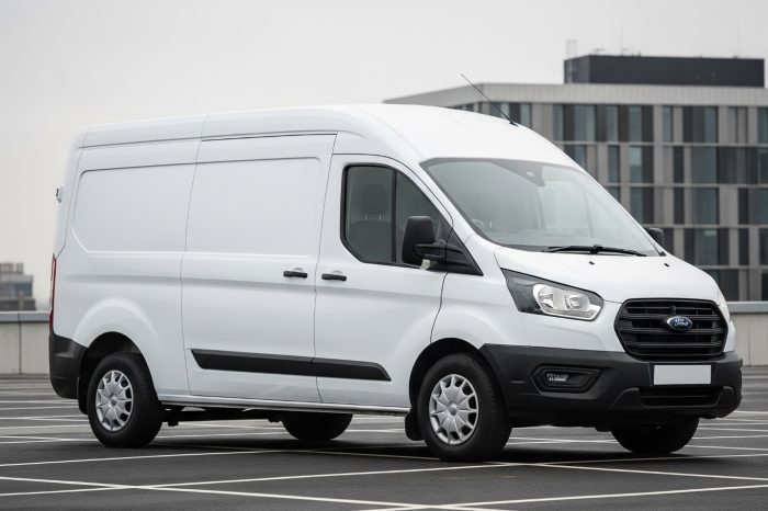 Ford Transit (L2H2)