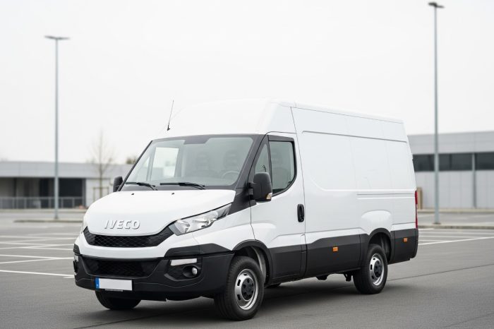 Iveco Daily Panel