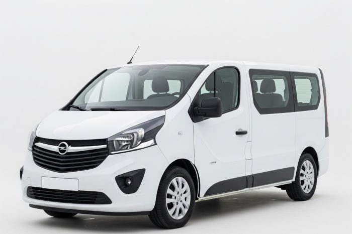 Opel Vivaro Combi